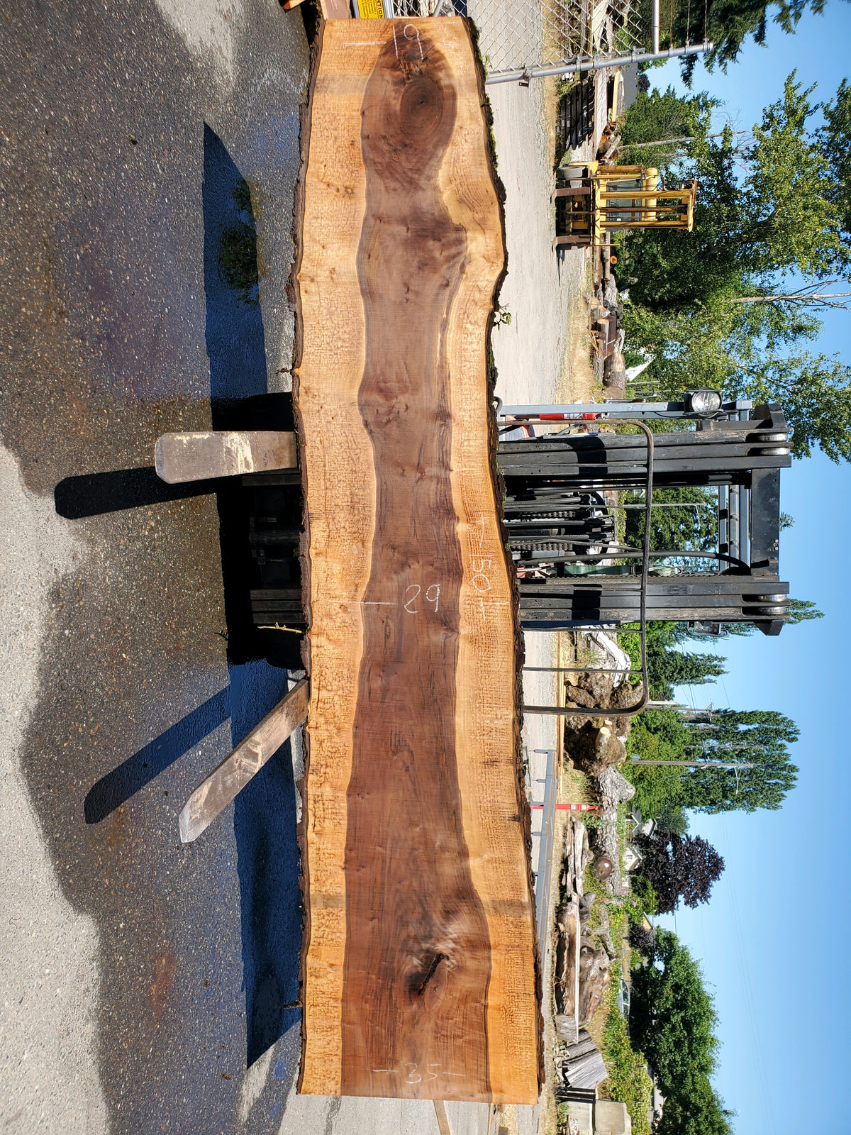 64 x 23 Black Walnut Slab #014901 — Wane+Flitch