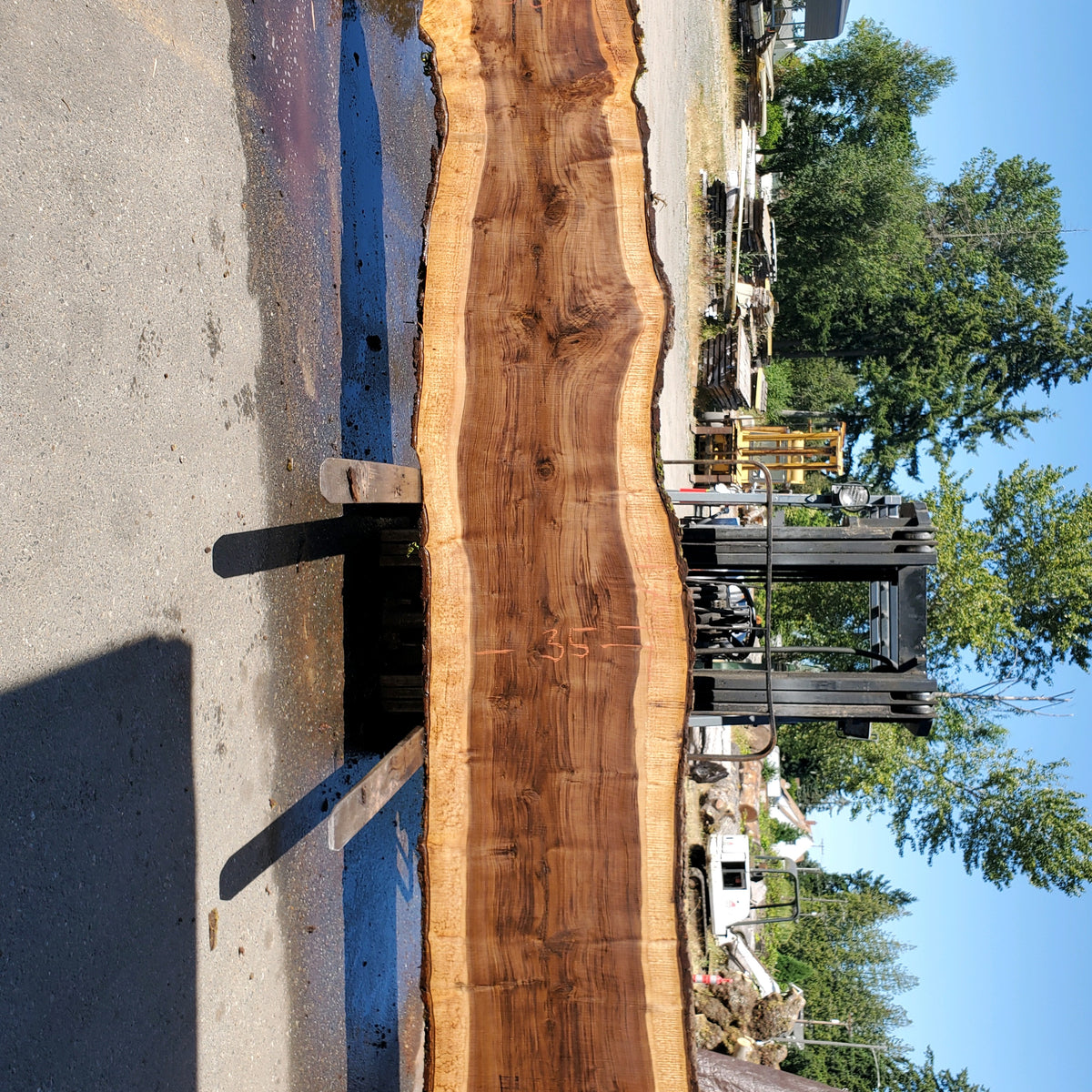 Black walnut live edge hotsell slab #1162